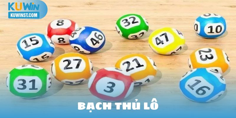 bạch thủ lô là gì?