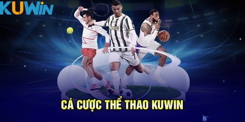 Các môn thể thao nổi bật nhất trên nền tảng